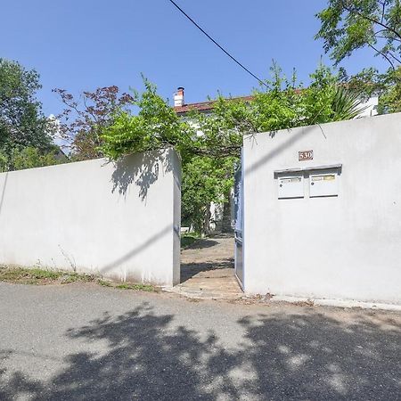 Terrazza Moriani - Charmant Appartement A 500M De La Mer San-Nicolao Exteriör bild
